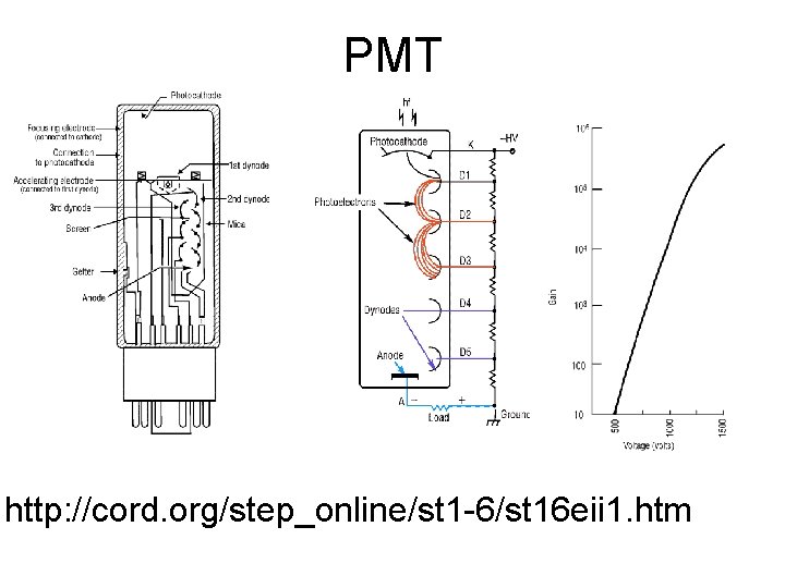 PMT http: //cord. org/step_online/st 1 -6/st 16 eii 1. htm 