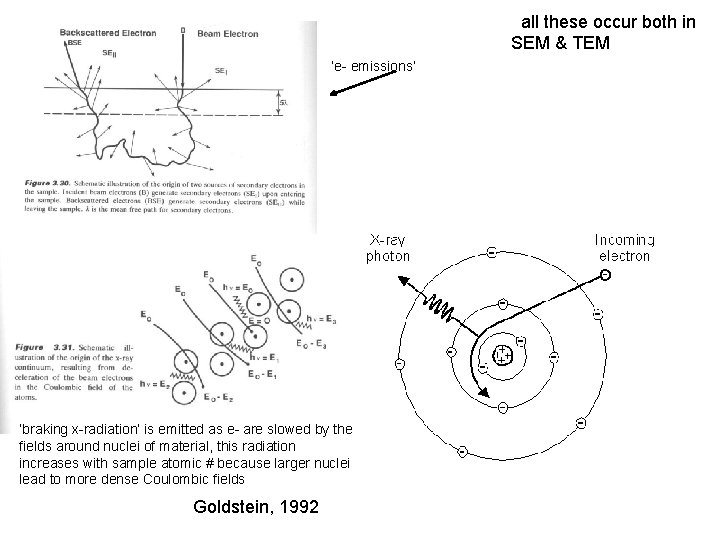  all these occur both in SEM & TEM ‘e- emissions’ ‘braking x-radiation’ is