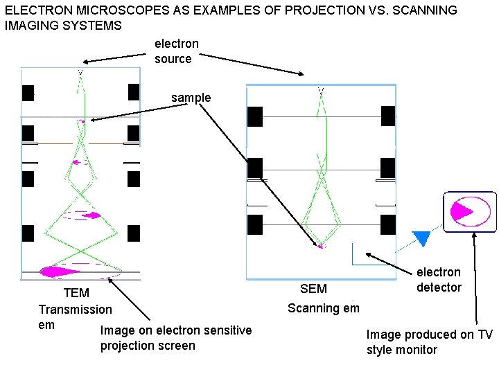 ELECTRON MICROSCOPES AS EXAMPLES OF PROJECTION VS. SCANNING IMAGING SYSTEMS electron source sample TEM