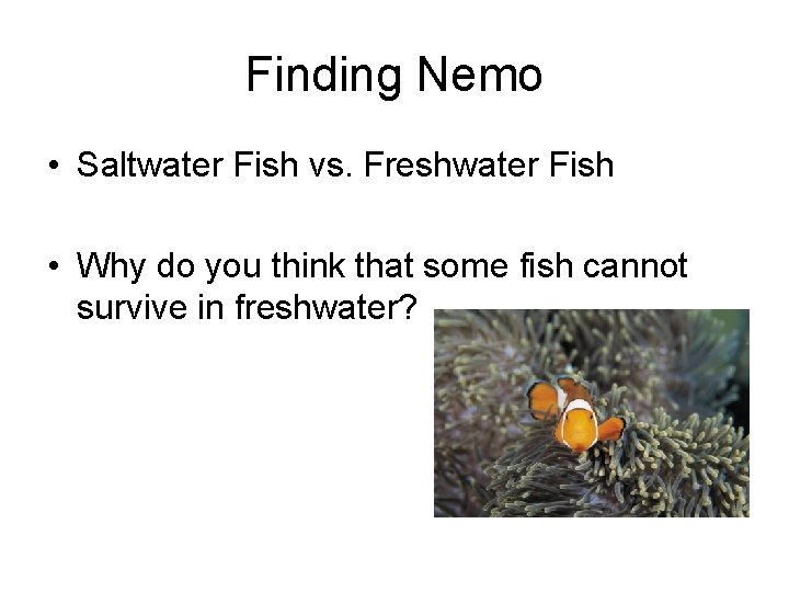 Finding Nemo • Saltwater Fish vs. Freshwater Fish • Why do you think that