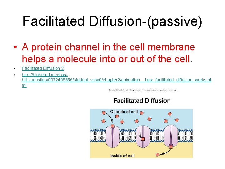 Facilitated Diffusion-(passive) • A protein channel in the cell membrane helps a molecule into