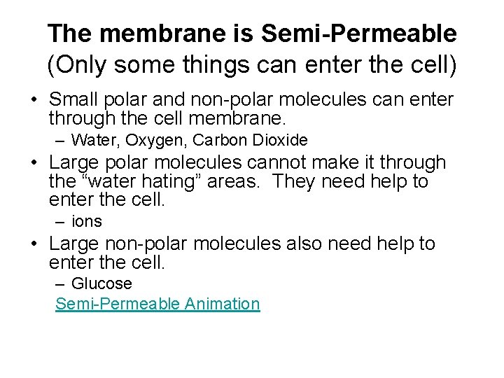 The membrane is Semi-Permeable (Only some things can enter the cell) • Small polar