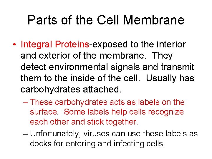 Parts of the Cell Membrane • Integral Proteins-exposed to the interior and exterior of