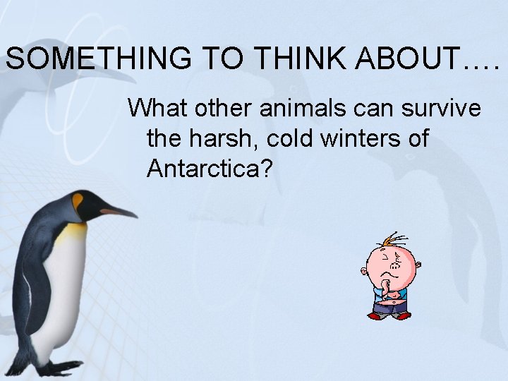 SOMETHING TO THINK ABOUT…. What other animals can survive the harsh, cold winters of