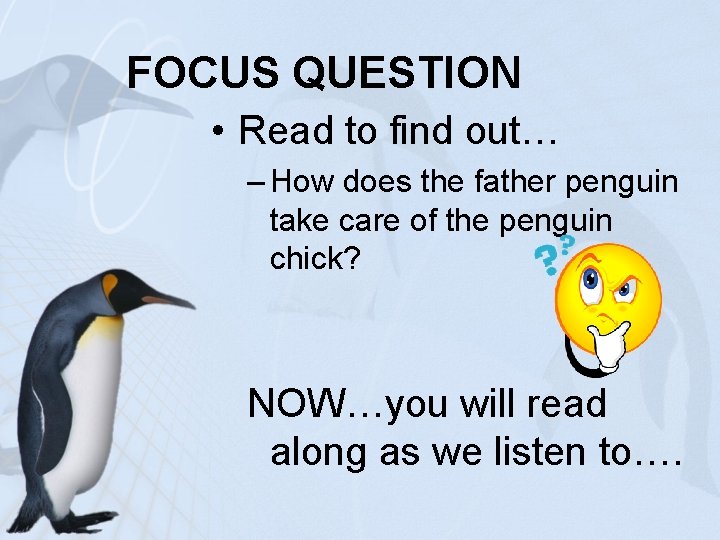 FOCUS QUESTION • Read to find out… – How does the father penguin take