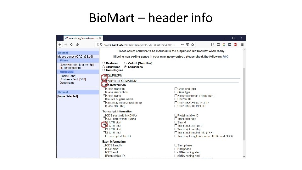 Bio. Mart – header info 