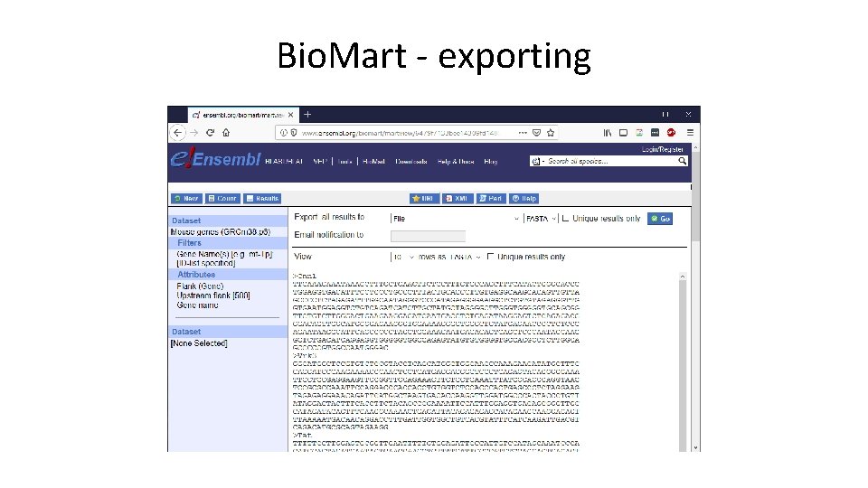 Bio. Mart - exporting 