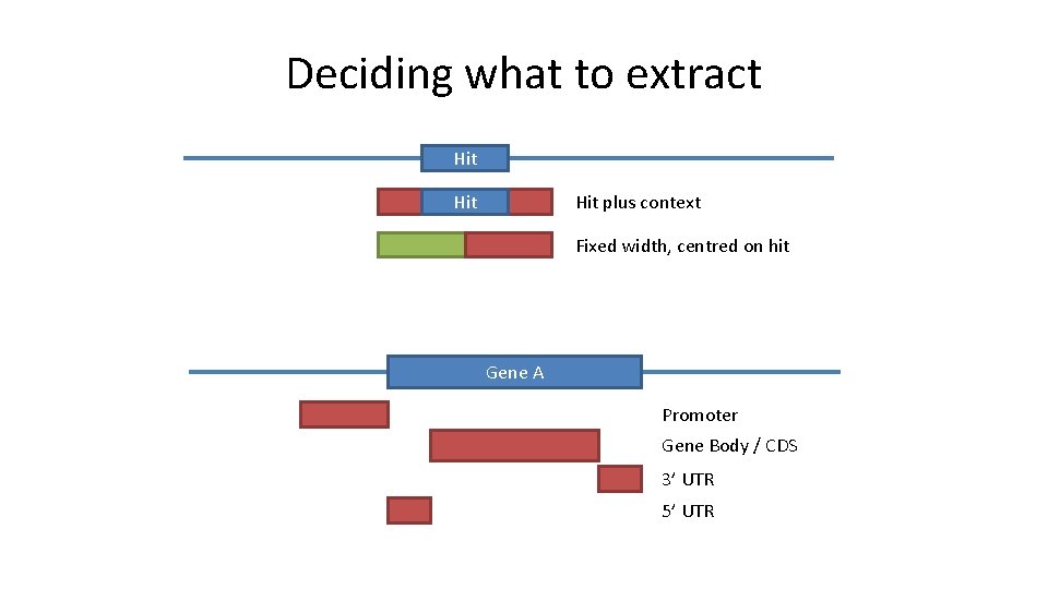 Deciding what to extract Hit plus context Hit Fixed width, centred on hit Gene