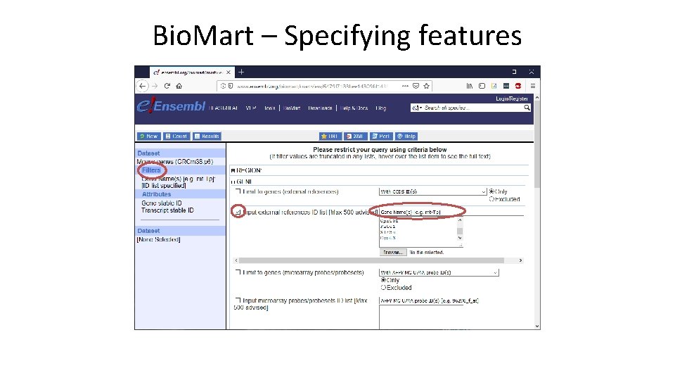 Bio. Mart – Specifying features 