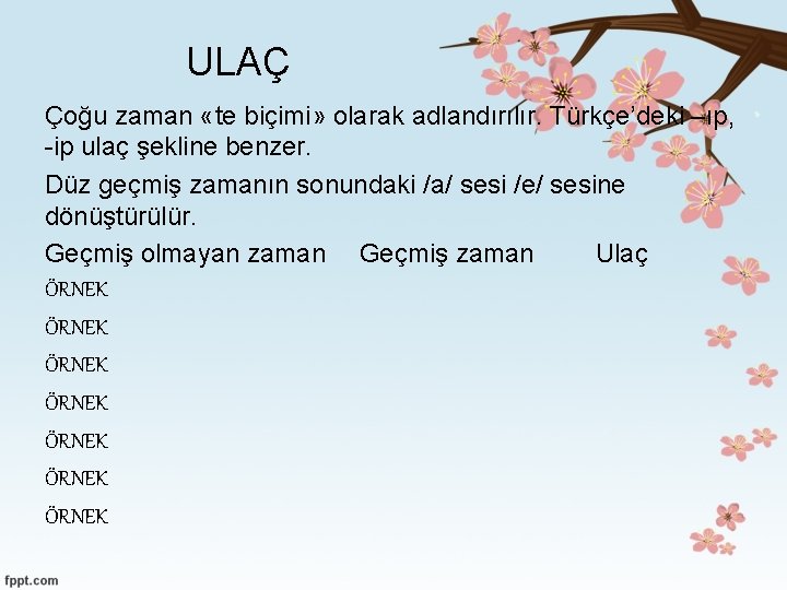 ULAÇ Çoğu zaman «te biçimi» olarak adlandırılır. Türkçe’deki –ıp, -ip ulaç şekline benzer. Düz