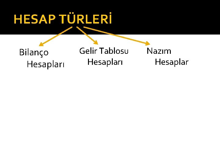 HESAP TÜRLERİ Bilanço Hesapları Gelir Tablosu Hesapları Nazım Hesaplar 