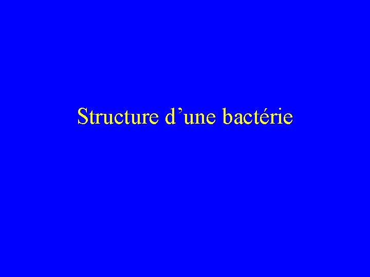 Structure d’une bactérie 