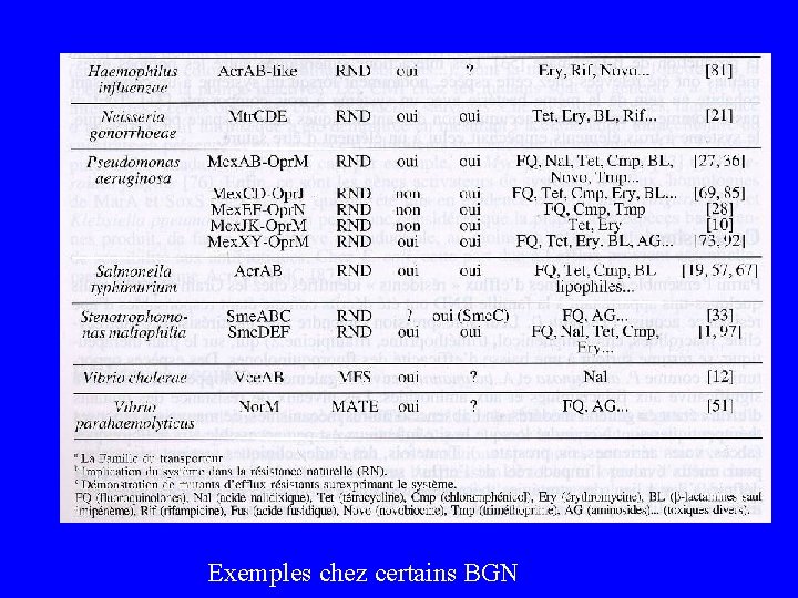  Exemples chez certains BGN 