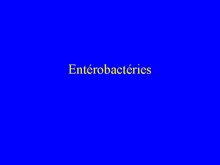 Entérobactéries 