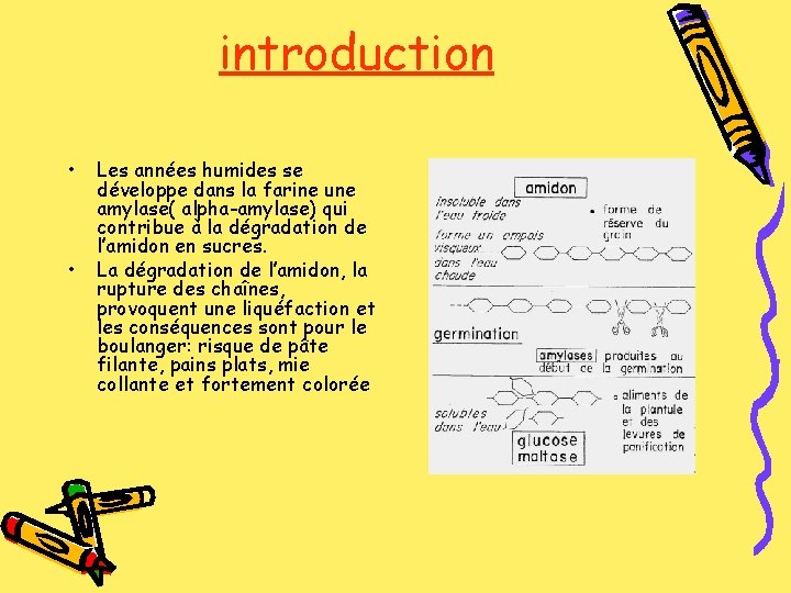 introduction • • Les années humides se développe dans la farine une amylase( alpha-amylase)