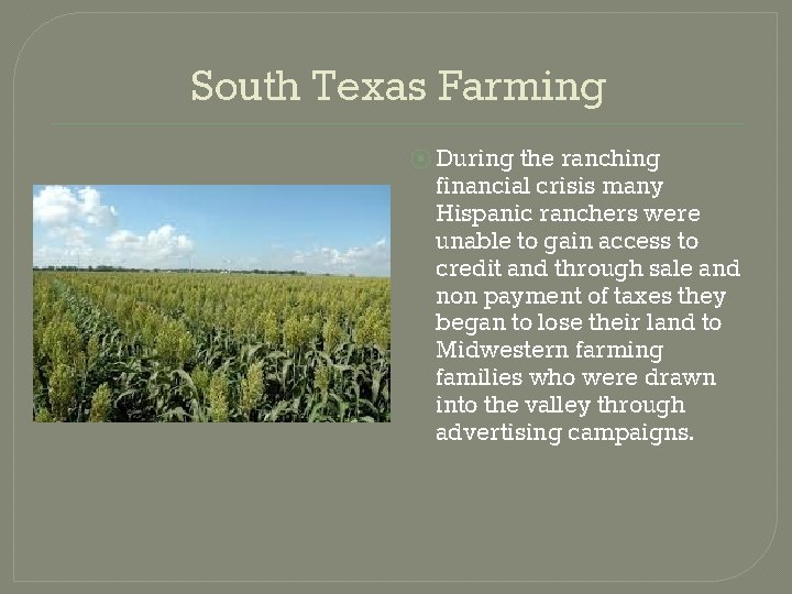 South Texas Farming ⦿ During the ranching financial crisis many Hispanic ranchers were unable