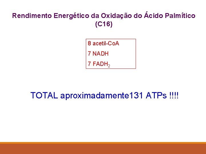 Rendimento Energético da Oxidação do Ácido Palmítico (C 16) 8 acetil-Co. A 7 NADH