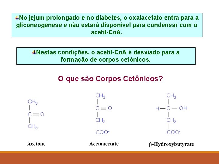 No jejum prolongado e no diabetes, o oxalacetato entra para a gliconeogênese e não