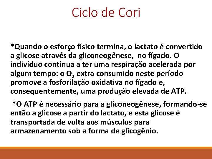 Ciclo de Cori *Quando o esforço físico termina, o lactato é convertido a glicose