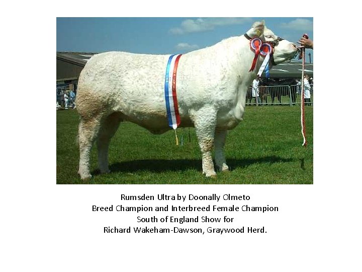 Rumsden Ultra by Doonally Olmeto Breed Champion and Interbreed Female Champion South of England