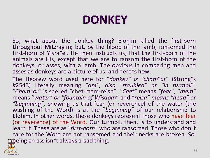 DONKEY So, what about the donkey thing? Elohim killed the first-born throughout Mitzrayim; but,