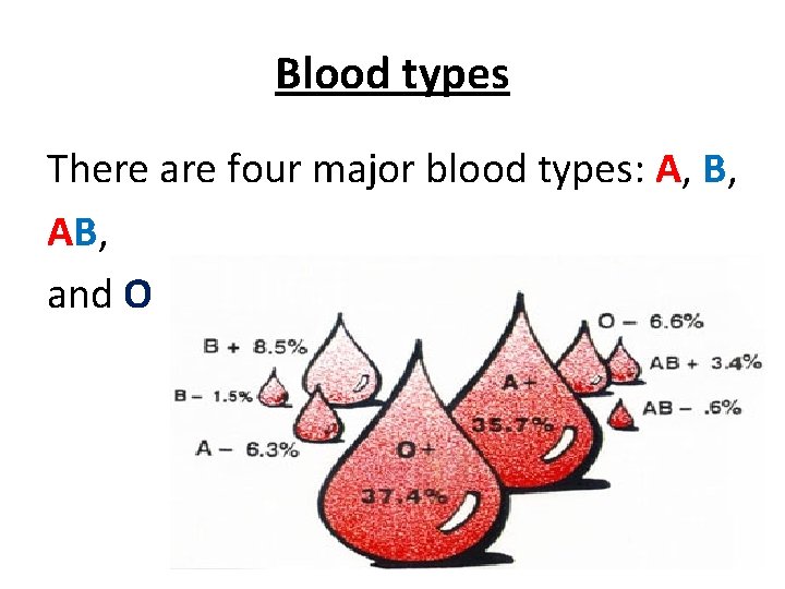 Blood types There are four major blood types: A, B, AB, and O 