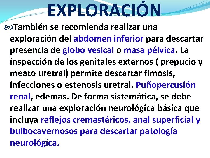 EXPLORACIÓN También se recomienda realizar una exploración del abdomen inferior para descartar presencia de