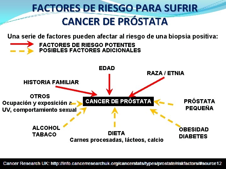 FACTORES DE RIESGO PARA SUFRIR CANCER DE PRÓSTATA Una serie de factores pueden afectar