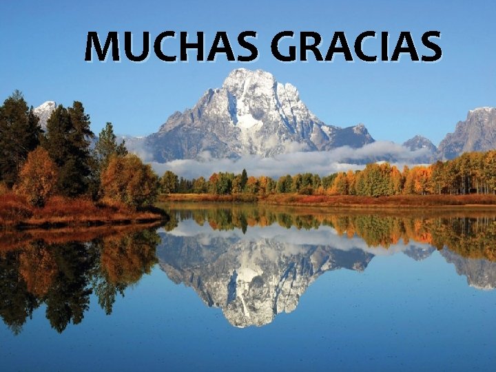 MUCHAS GRACIAS 