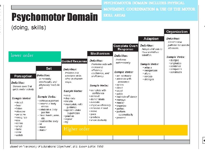 PSYCHOMOTOR DOMAIN INCLUDES PHYSICAL MOVEMENT, COORDINATION & USE OF THE MOTOR SKILL AREAS lower