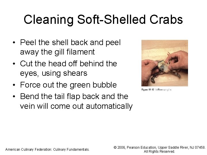 Cleaning Soft-Shelled Crabs • Peel the shell back and peel away the gill filament
