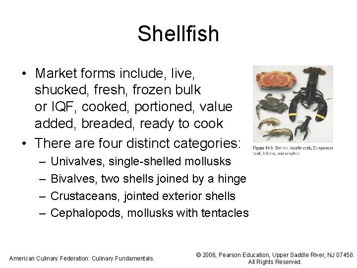 Shellfish • Market forms include, live, shucked, fresh, frozen bulk or IQF, cooked, portioned,