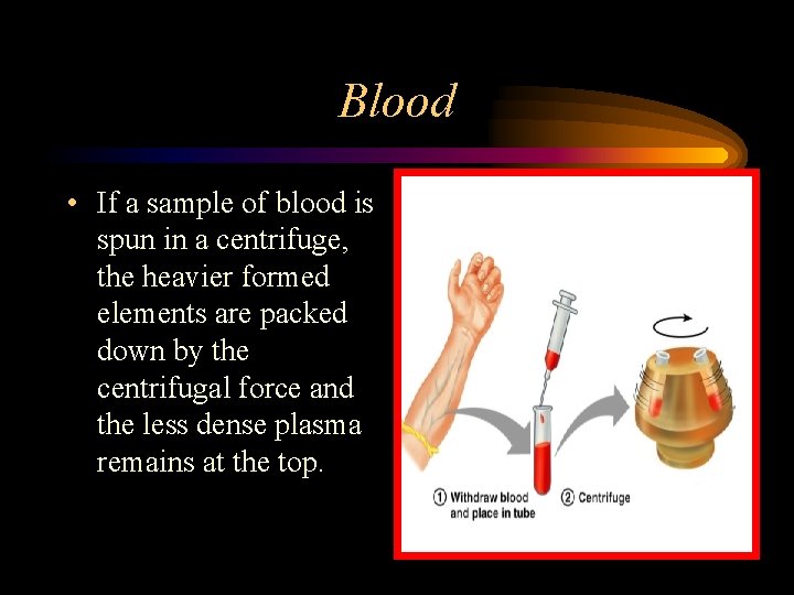 Blood • If a sample of blood is spun in a centrifuge, the heavier