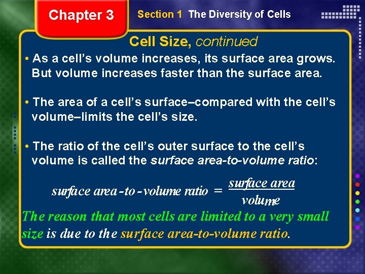 Chapter 3 Section 1 The Diversity of Cells Cell Size, continued • As a