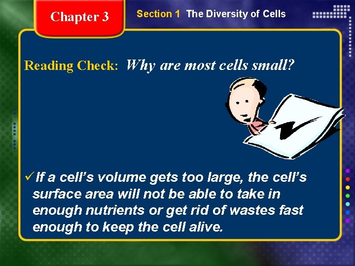 Chapter 3 Section 1 The Diversity of Cells Reading Check: Why are most cells