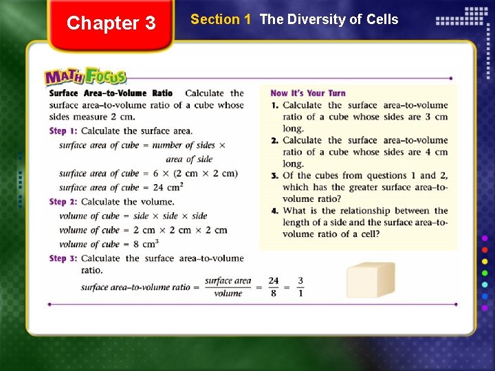 Chapter 3 Section 1 The Diversity of Cells 