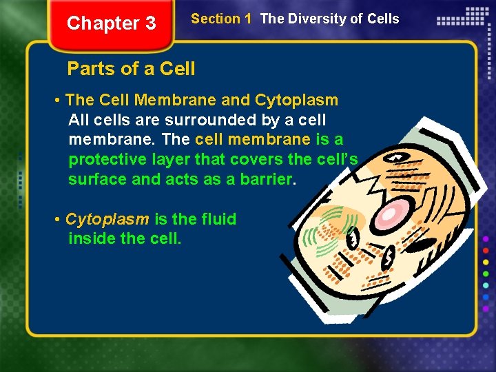 Chapter 3 Section 1 The Diversity of Cells Parts of a Cell • The