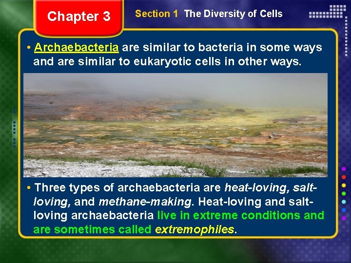Chapter 3 Section 1 The Diversity of Cells • Archaebacteria are similar to bacteria