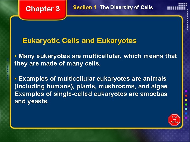 Chapter 3 Section 1 The Diversity of Cells Eukaryotic Cells and Eukaryotes • Many