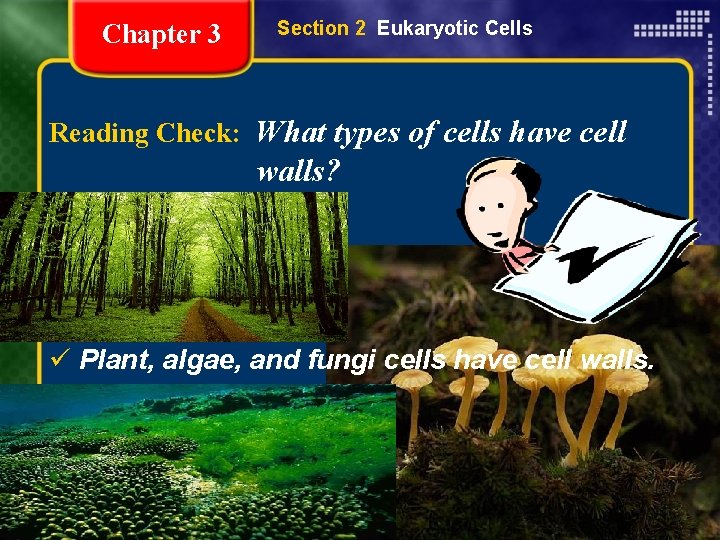 Chapter 3 Section 2 Eukaryotic Cells Reading Check: What types of cells have cell