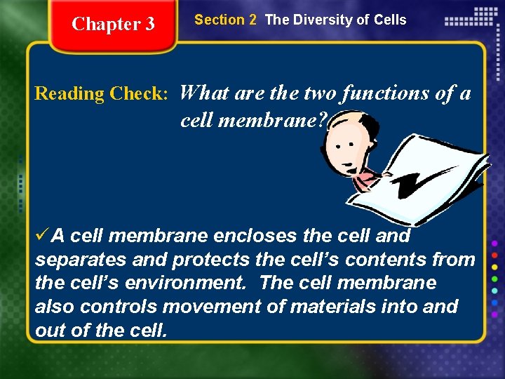 Chapter 3 Section 2 The Diversity of Cells Reading Check: What are the two