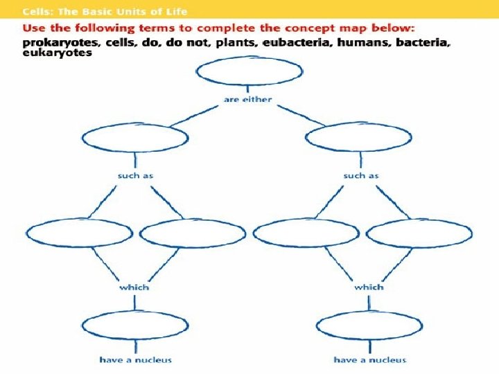 Chapter 3 Cells: The Basic Units of Life 