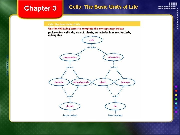 Chapter 3 Cells: The Basic Units of Life 