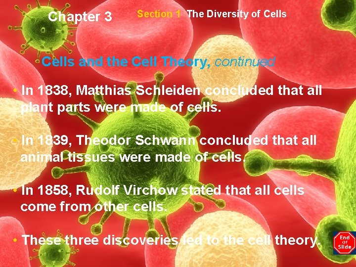 Chapter 3 Section 1 The Diversity of Cells and the Cell Theory, continued •