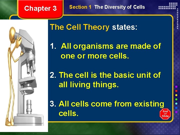 Chapter 3 Section 1 The Diversity of Cells The Cell Theory states: 1. All