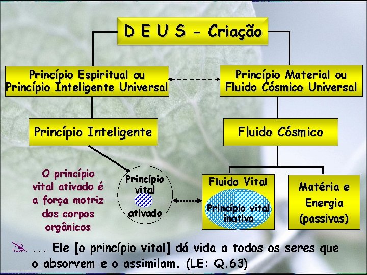 D E U S - Criação Princípio Espiritual ou Princípio Inteligente Universal Princípio Inteligente