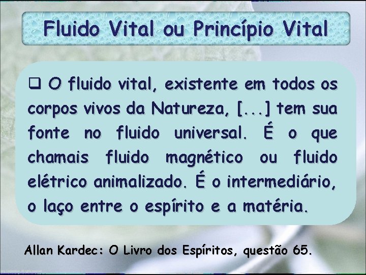 Fluido Vital ou Princípio Vital q O fluido vital, existente em todos os corpos