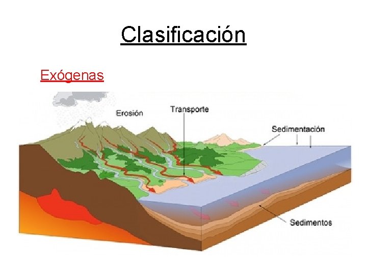 Clasificación Exógenas 