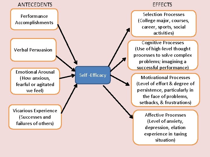 ANTECEDENTS EFFECTS Performance Accomplishments Selection Processes (College major, courses, career, sports, social activities) Cognitive