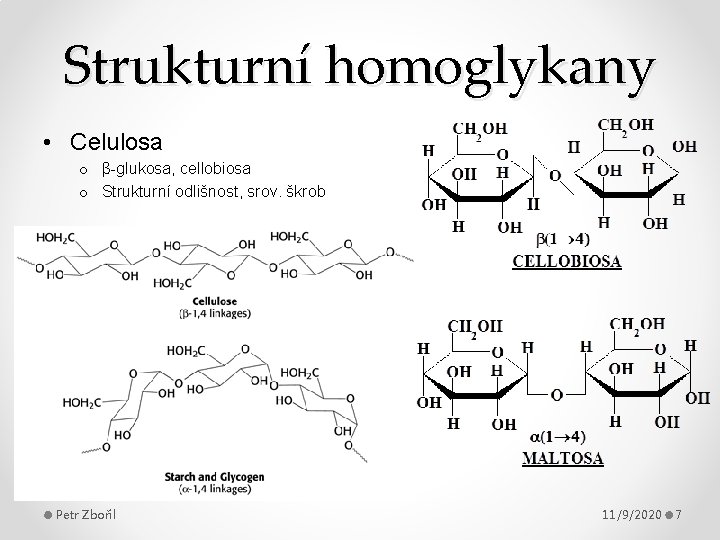 Strukturní homoglykany • Celulosa o β-glukosa, cellobiosa o Strukturní odlišnost, srov. škrob Petr Zbořil